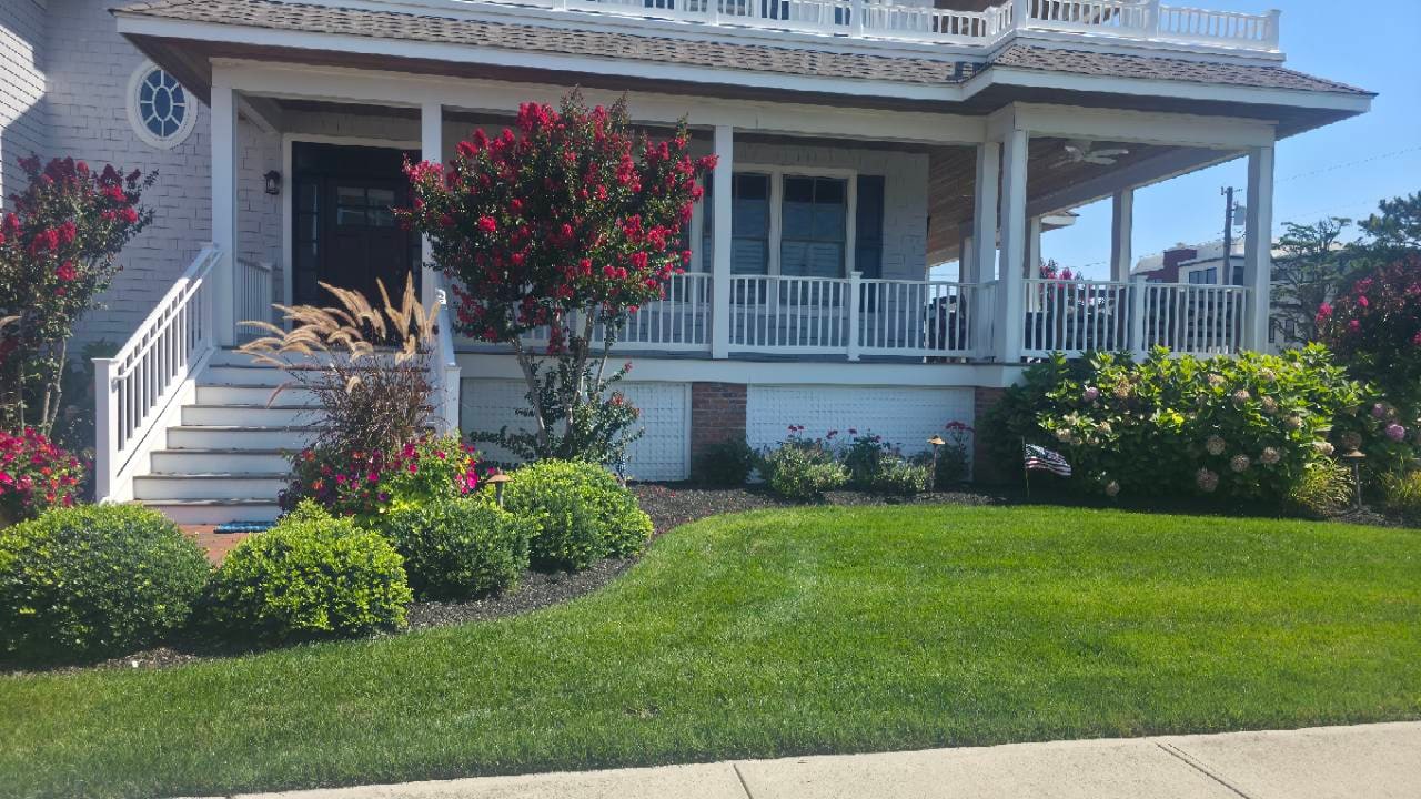 Maintained lawn, shaped shrubs, flowering trees, and clean planting beds at a Beach Haven home